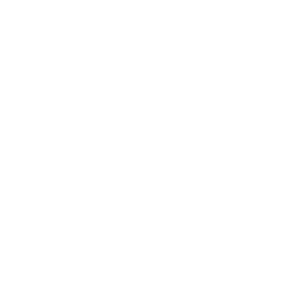 certificado icon